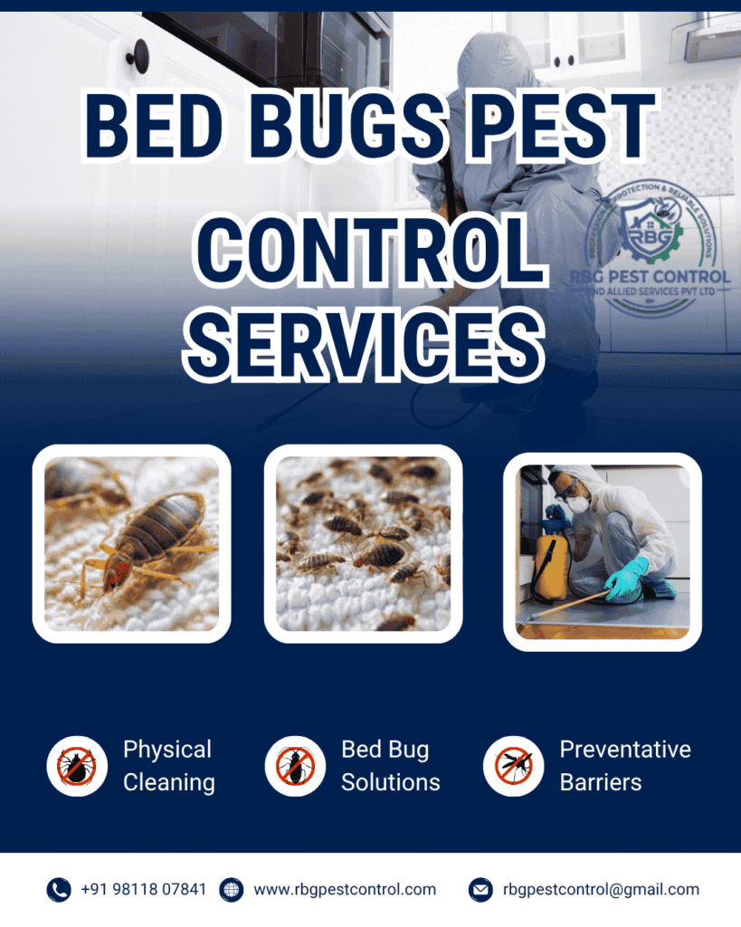 Bed Bugs Pest Control