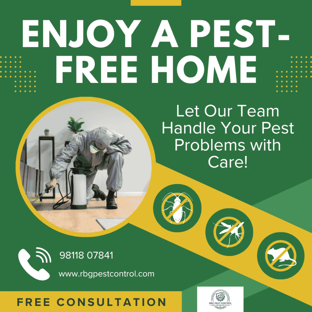 Residential Pest Control Service in Gurgaon