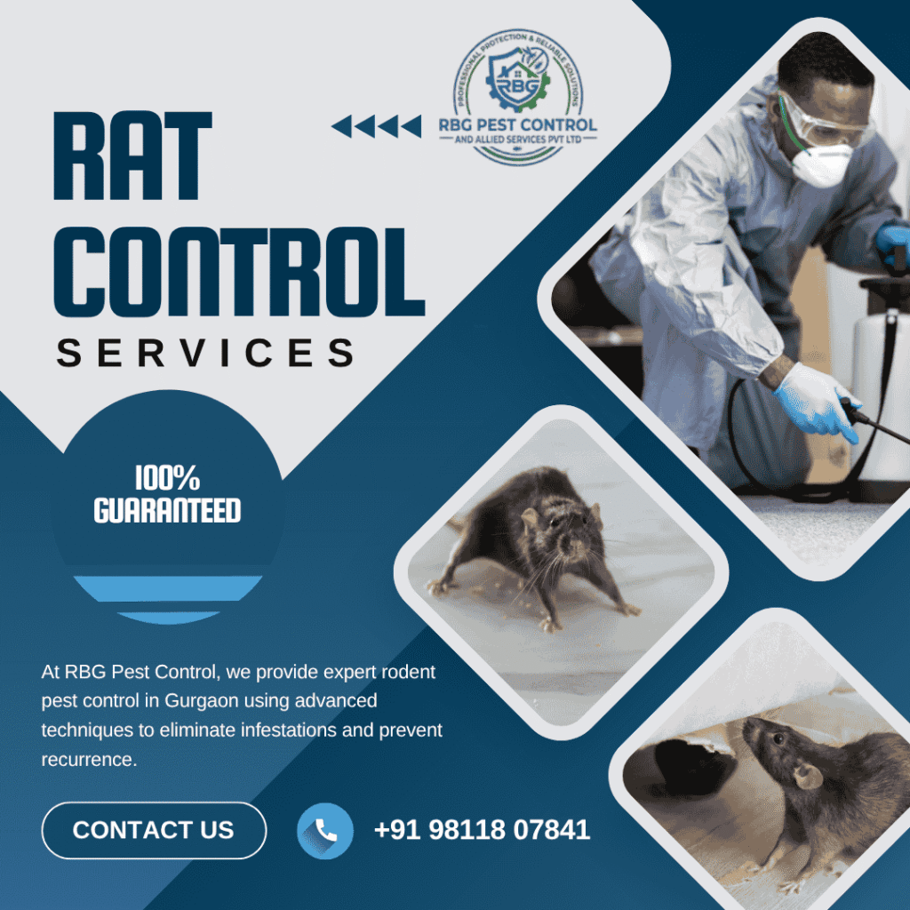 Rodent Pest Control Service