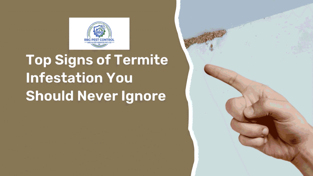 Top Signs of Termite Infestation You Should Never Ignore